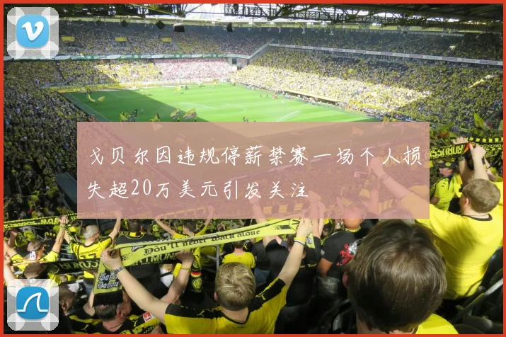 戈贝尔因违规停薪禁赛一场个人损失超20万美元引发关注