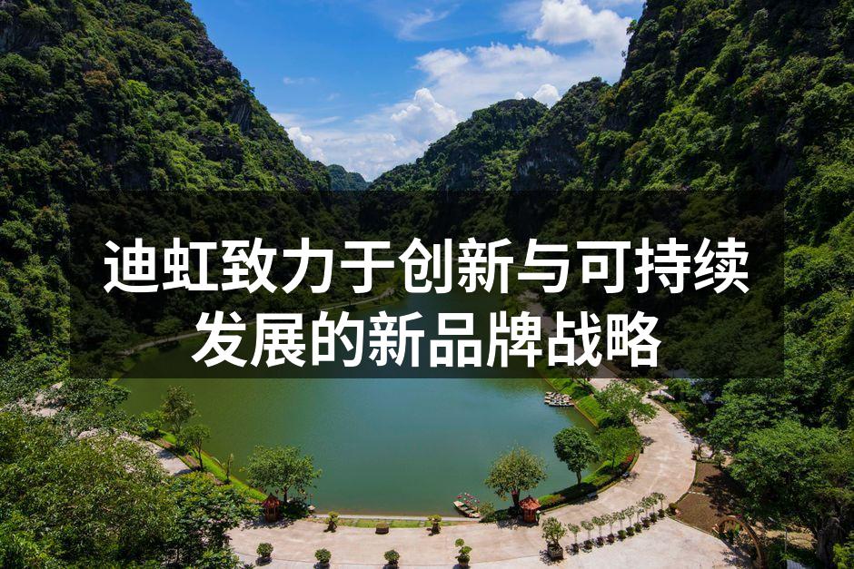 迪虹致力于创新与可持续发展的新品牌战略