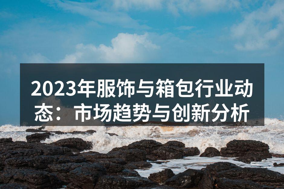 个性化手袋，满足消费者的需求