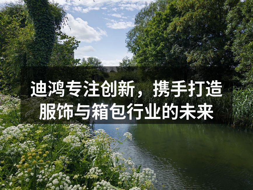 迪鸿新产品展示